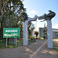 Aqurio Municipal  
