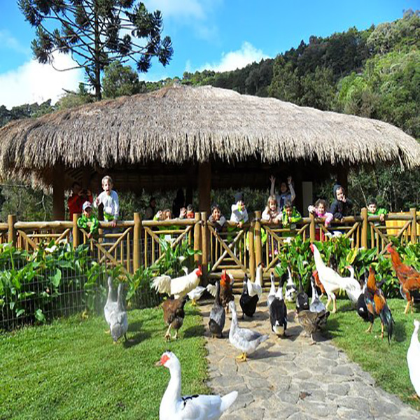 Fazendinha Toriba 