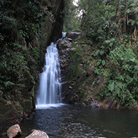 Trilha da Esmeralda - Parque Estadual Ncleo Caraguatatuba 
