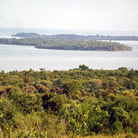 Reserva Florestal Crrego do Veado 