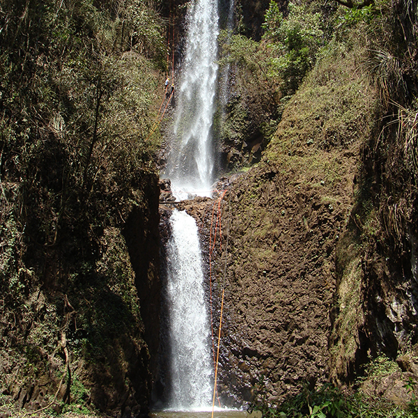 Eco Parque Cassorova