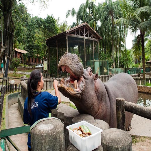 Parque Ecológico Voturuá