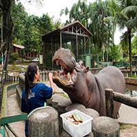 Parque Ecolgico Voturu