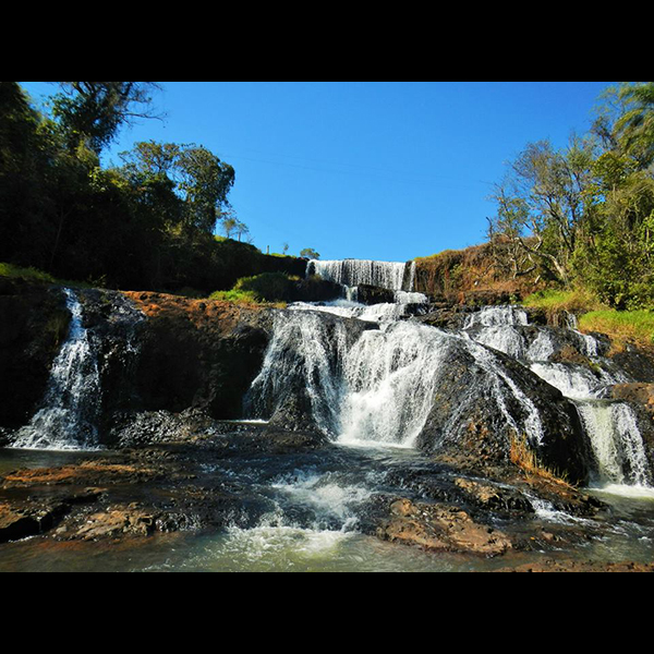 Eco Parque Jacaré