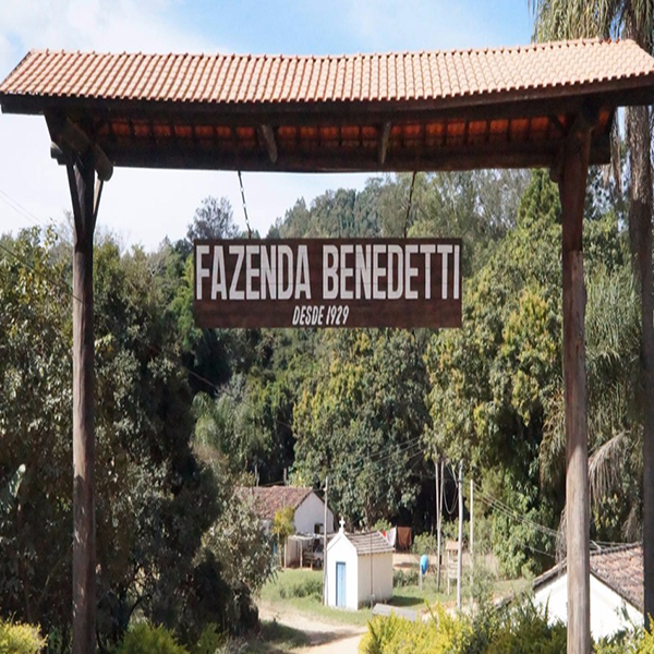 Fazenda Benedetti Fazenda Benedetti