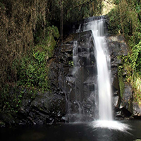 Parque Estadual da Serra do Mar - Ncleo Cunha 