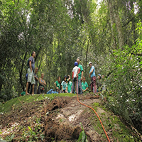 Parque natural municipal Mata da Cmara