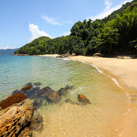 Praia Deserto e Praia do Cedro do Sul