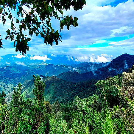 Mirante Vista Chinesa