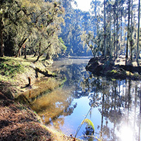 Parque da Lagoinha