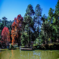 Parque Estadual Campos do Jordo - Horto Florestal