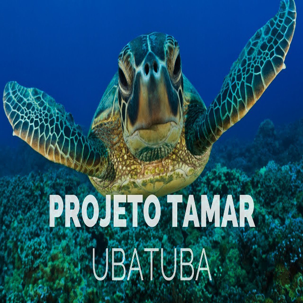 Projeto Tamar 