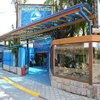 Aqurio de Ubatuba 