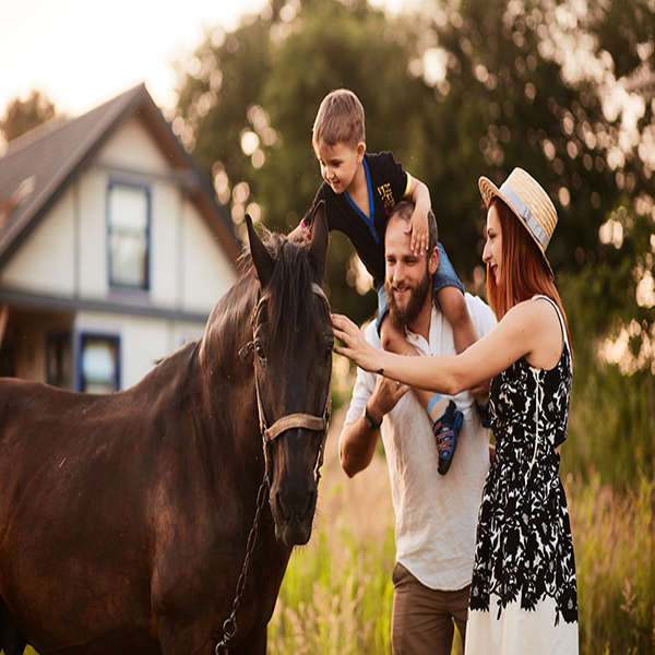 Rancho Cavalo Mania