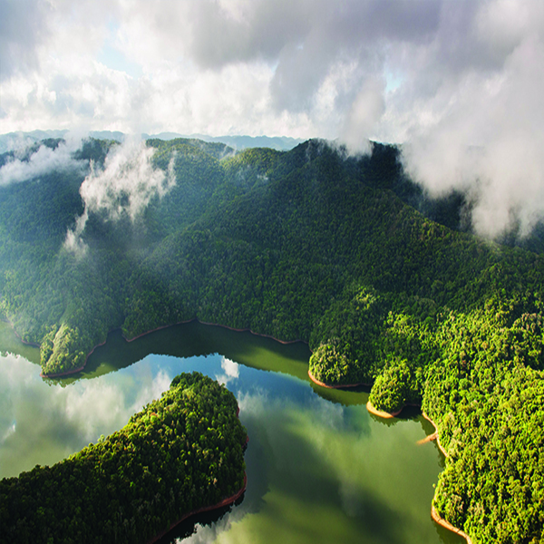 Parque Estadual do Jurupará