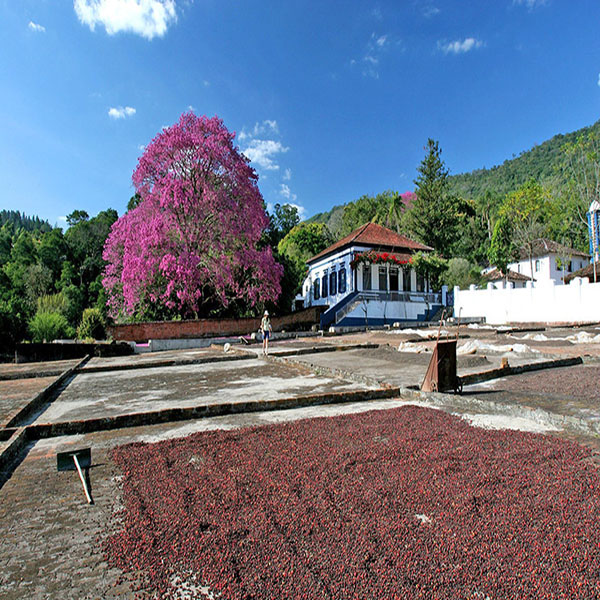 Roteiro do Café 