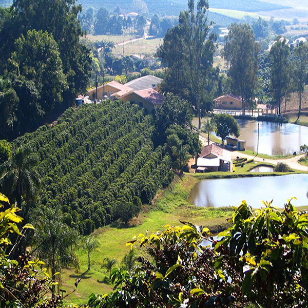 Rota Turística do Café 