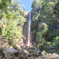 Parque Natural Municipal Cachoeira da Marta