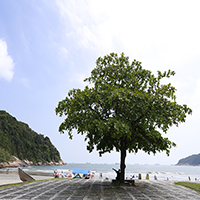 Praia do Guaiba