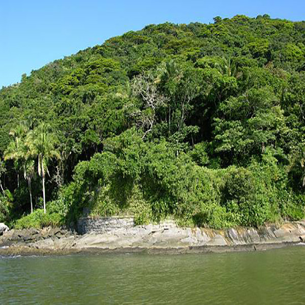 Fortaleza de São Felipe