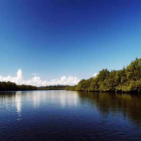 Estuário Lagunar