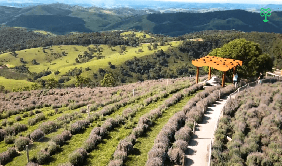 #dicadasemana Cunha: um dos melhores destinos para ecoturismo no Brasil