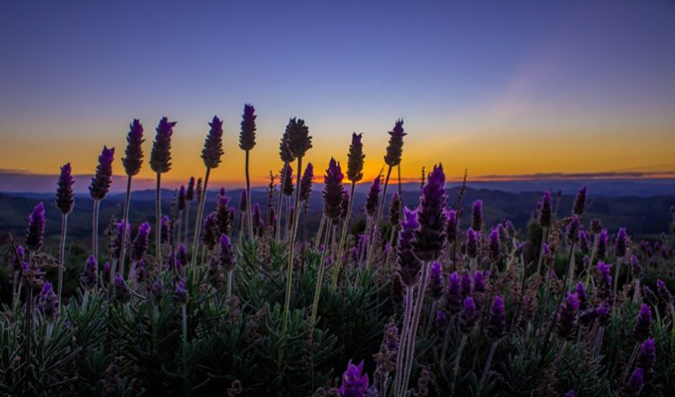 #dicadasemana O Lanvadário de Cunha/SP  