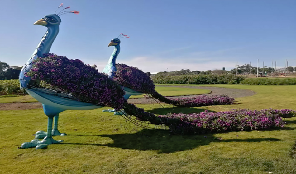 #dicadasemana Holambra: Bloemen Park conta com jardins e campos de flores