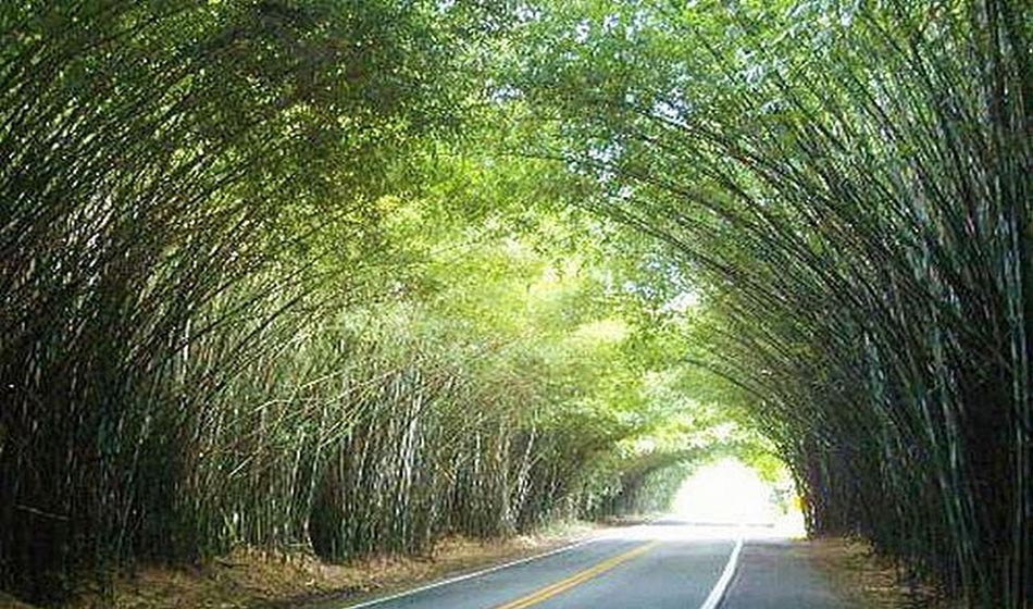 #dicadasemana Circuito das Frutas é ótima opção de bate e volta