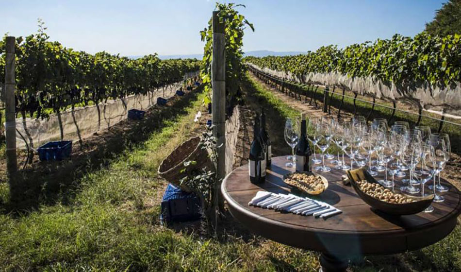 #dicadasemana Rota dos Vinhos da Mantiqueira Paulista 