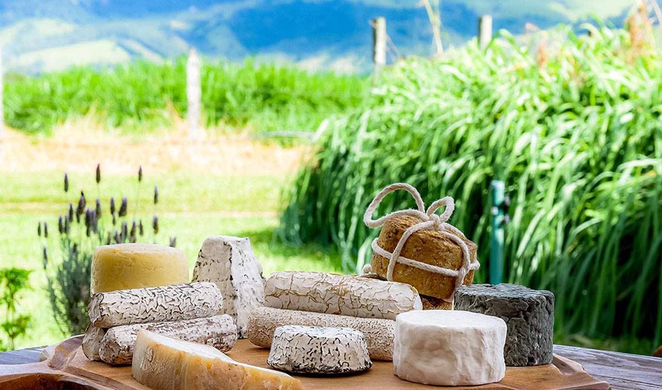 #dicadasemana Amparo e Joanópolis integram o Caminho do Queijo Artesanal Paulista
