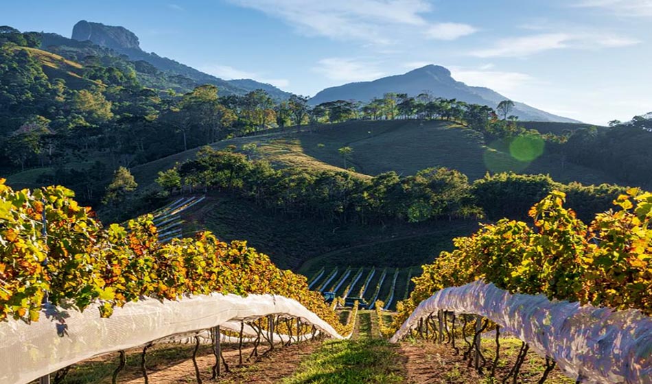 #Dicadasemana Fim de semana nas montanhas: Aventura e gastronomia em São Bento do Sapucaí 